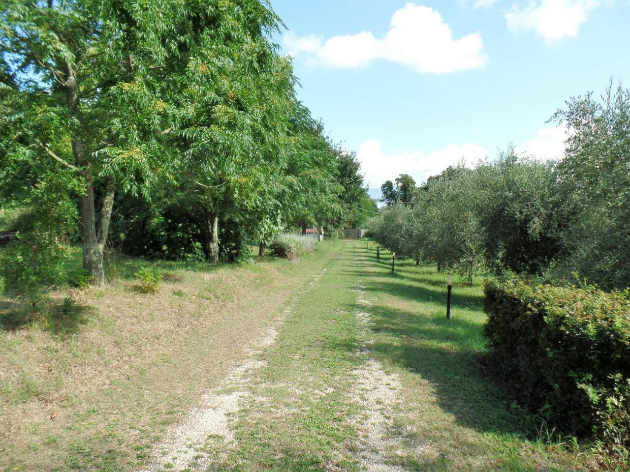 Poggiolindo B&B Capodimonte Exteriör bild