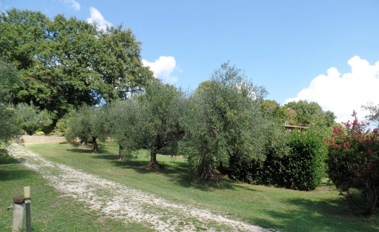 Poggiolindo B&B Capodimonte Exteriör bild