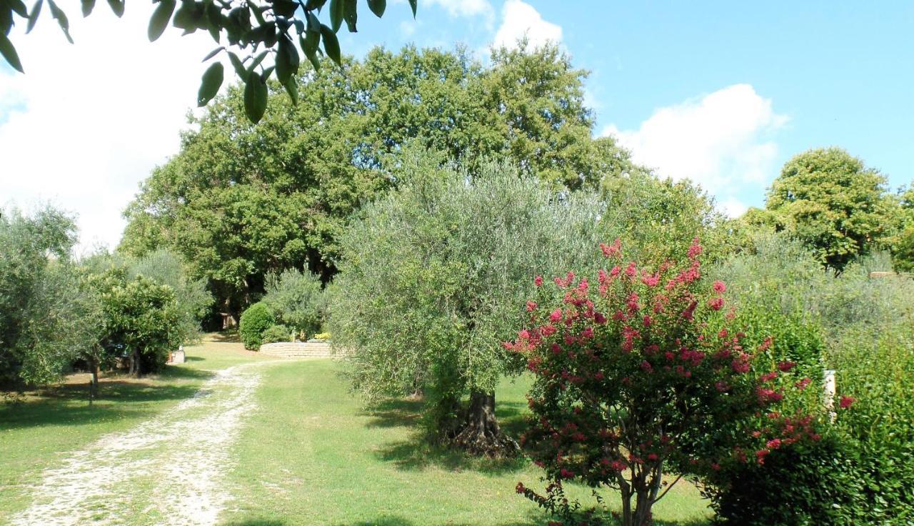Poggiolindo B&B Capodimonte Exteriör bild
